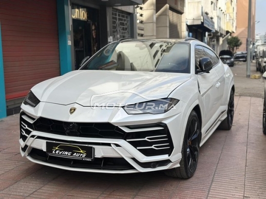 LAMBORGHINI Autre occasion 2973695