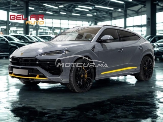 LAMBORGHINI Autre مستعملة