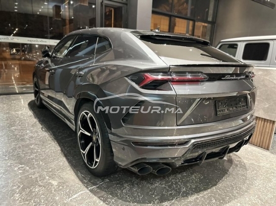 LAMBORGHINI Autre occasion 2973803