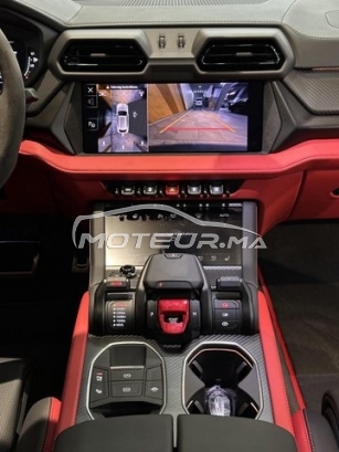 LAMBORGHINI Autre 300 de occasion 2731446