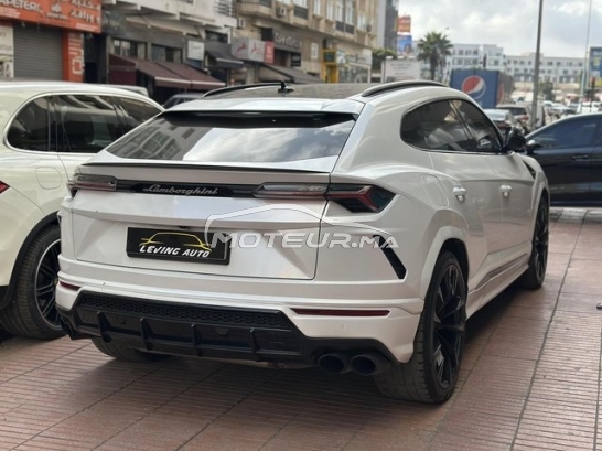 LAMBORGHINI Autre occasion 2973697