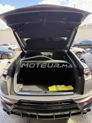 LAMBORGHINI Autre occasion 2864190