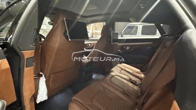 LAMBORGHINI Autre occasion 2973801