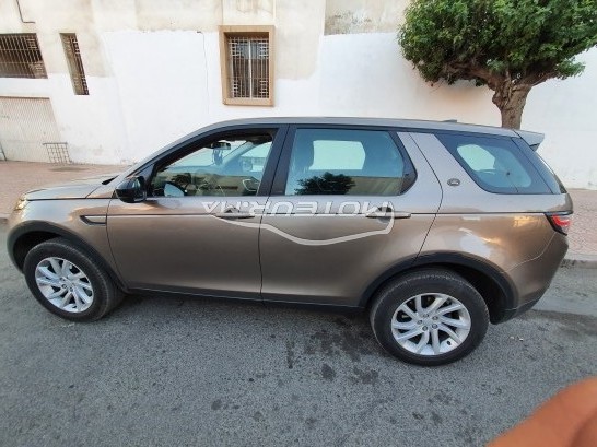 LAND-ROVER Discovery occasion 1291157