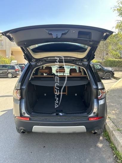 LAND-ROVER Discovery sport 2019 occasion 1821587