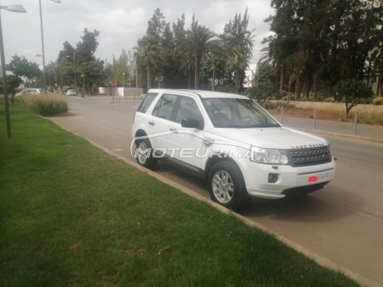 LAND-ROVER Freelander occasion 1424866