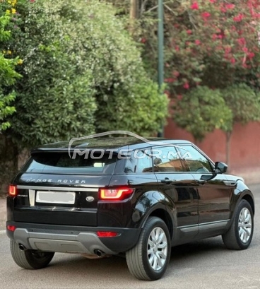 LAND-ROVER Range rover evoque occasion 2442721