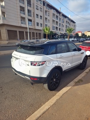 LAND-ROVER Range rover evoque Dynamique occasion 2416003