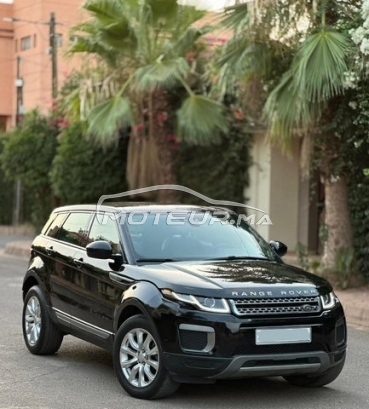 LAND-ROVER Range rover evoque occasion 2442719