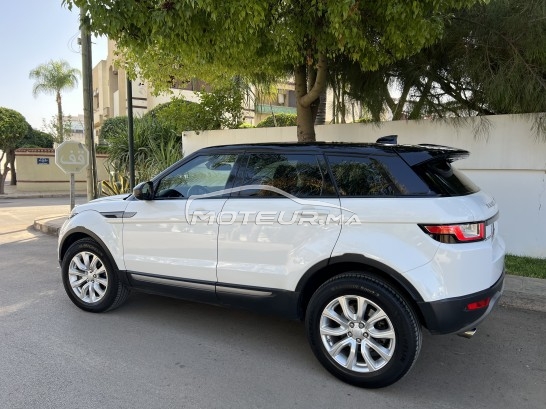 LAND-ROVER Range rover evoque occasion 1629758