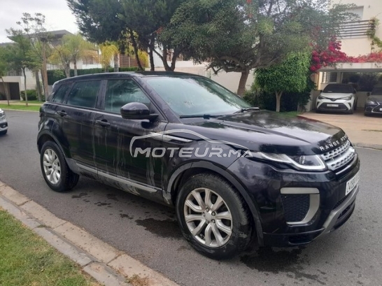 LAND-ROVER Range rover evoque occasion 2981278