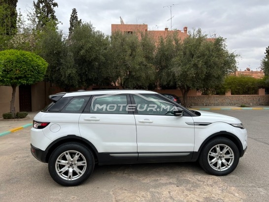 LAND-ROVER Range rover evoque Td4 occasion 1555483