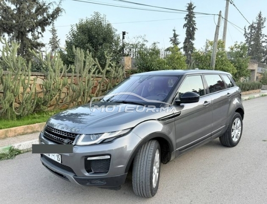 LAND-ROVER Range rover evoque occasion 3245066