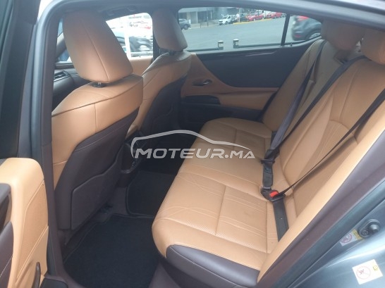 LEXUS Es 300 h occasion 1680534