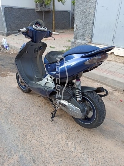 MALAGUTI F12r 2009 occasion  1696291