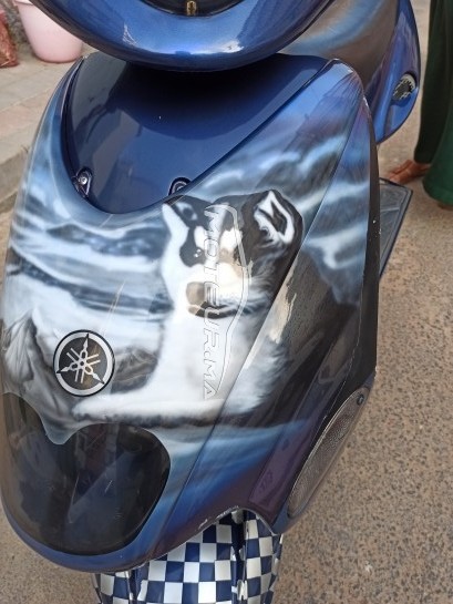 MALAGUTI F12r 2009 occasion  1696286