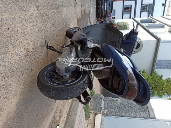 MALAGUTI F12r 2009 occasion  1696289