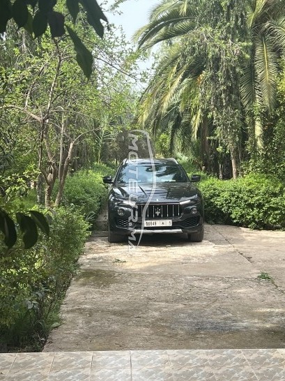 مازيراتي ليفانتي Q4 مستعملة 1799763