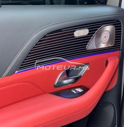 MERCEDES-BENZ Classe gle occasion 2916713