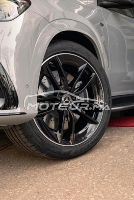 MERCEDES-BENZ Classe gle occasion 2520010