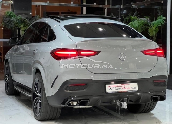 MERCEDES-BENZ Classe gle occasion 2208529