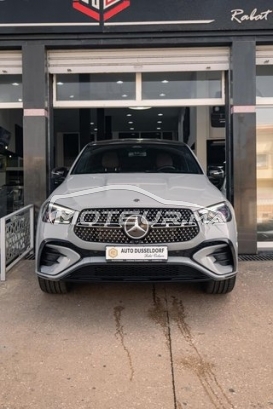 MERCEDES-BENZ Classe gle occasion 2520009