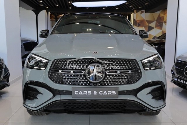 MERCEDES-BENZ Classe gle occasion 1907004