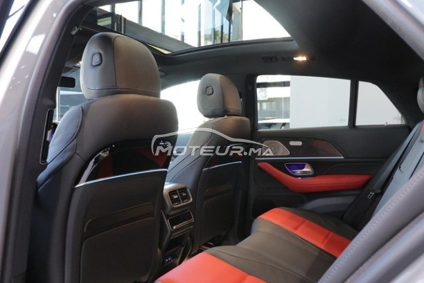 MERCEDES-BENZ Classe gle occasion 1906999