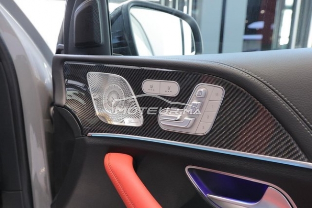 MERCEDES-BENZ Classe gle occasion 1906998