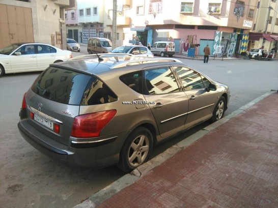PEUGEOT 407 sw occasion 48035