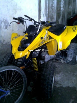 CAN-AM Ds 250 250 occasion  224426