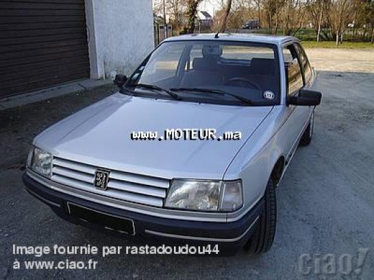 PEUGEOT 309 1.4 grd occasion 167094