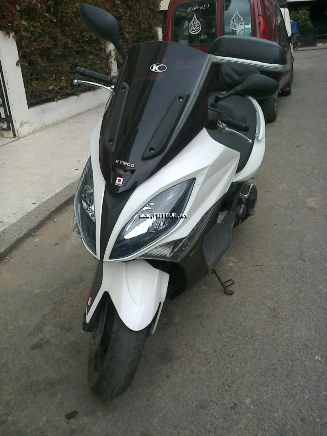 KYMCO Xciting 500 500 occasion  227439