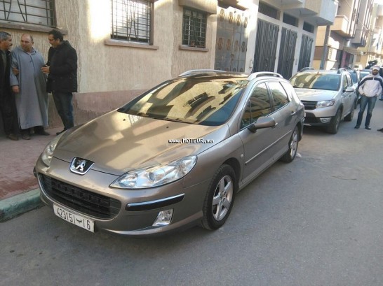 PEUGEOT 407 sw occasion 48036