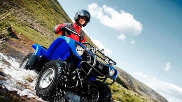 YAMAHA Grizzly 125 125 occasion  223427