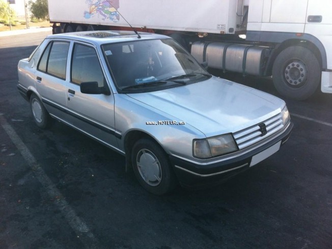 PEUGEOT 309 Grd occasion 89494