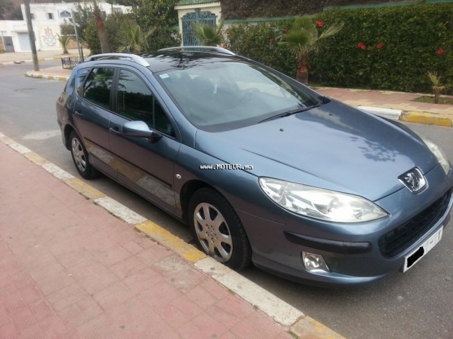 PEUGEOT 407 sw occasion 45587