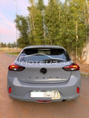 أوبل كورسا Édition 2025 مستعملة 2941925