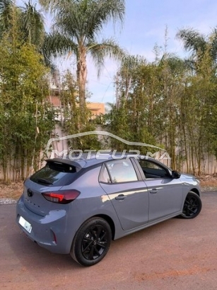 أوبل كورسا Édition 2025 مستعملة 2941924