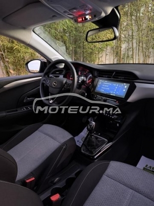 أوبل كورسا Édition 2025 مستعملة 2941764