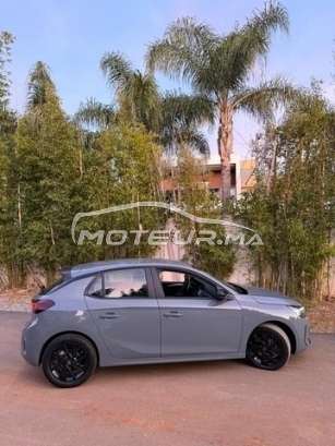 أوبل كورسا Édition 2025 مستعملة 2941920