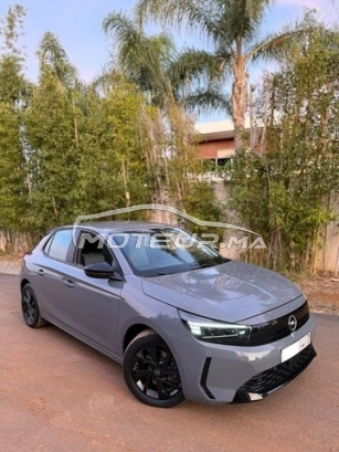 أوبل كورسا Édition 2025 مستعملة 2941917