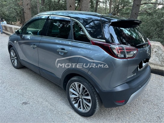 أوبل كروسلاند 2019 مستعملة 2813570