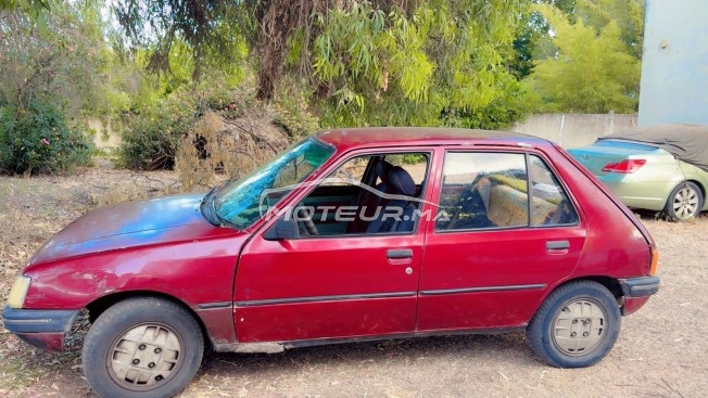 بيجو 205 1985 مستعملة 2411102