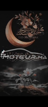 بيجو 309 مستعملة 1837723