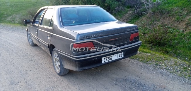 PEUGEOT 405 occasion 1212448