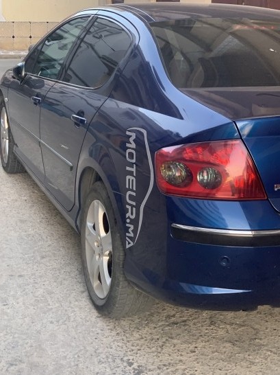 PEUGEOT 407 2.0 occasion 1179315