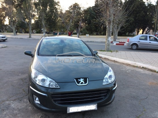 PEUGEOT 407 exécutive pack occasion 373670