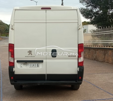 بيجو بوكسير مستعملة 1728377