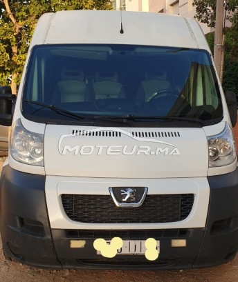 بيجو بوكسير Forgon مستعملة 1669685